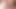 I Want to Eat a Cock