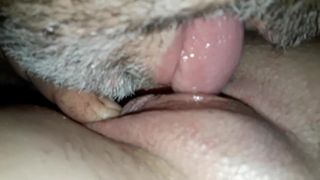 Licking pussy