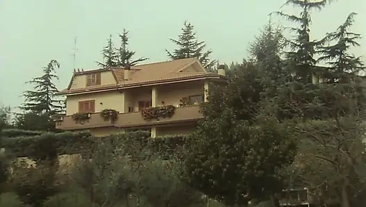 At the Sex Hotel No One Is Spared