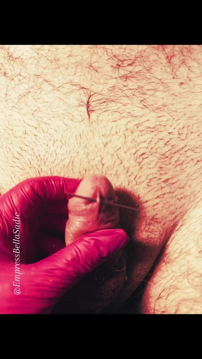 一个针头的早晨，只是开始。这还不够。我想要更多。