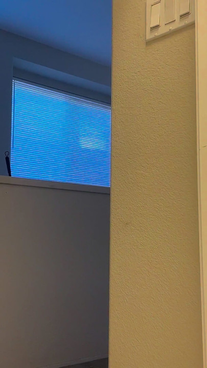 Roommate Stuck in Dryer