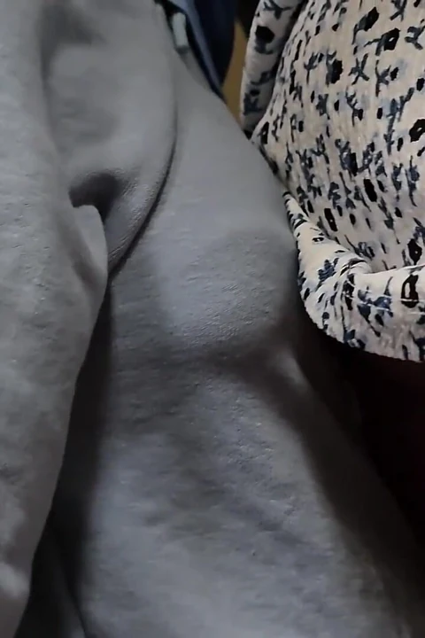 She Accidentally Touch Stranger's Dick Inside Train. He Slide His Penis Under Her Skirt and Cum