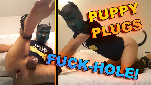 Puppy plug n play