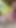 Stunning moment from "I was walking in the woods and saw a bored beauty. I lifted her mood with my dick"