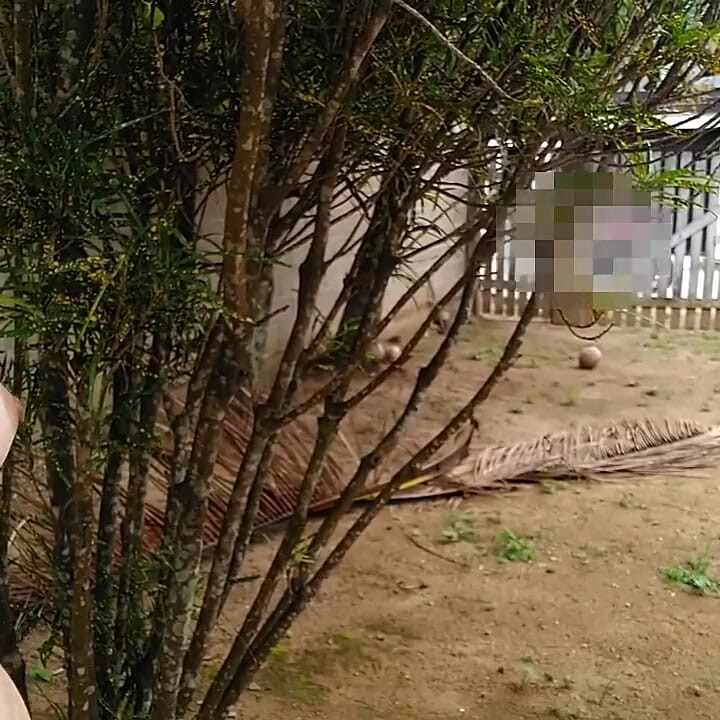 Naked Wife in Front of a Stranger