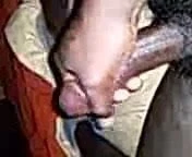 my cock