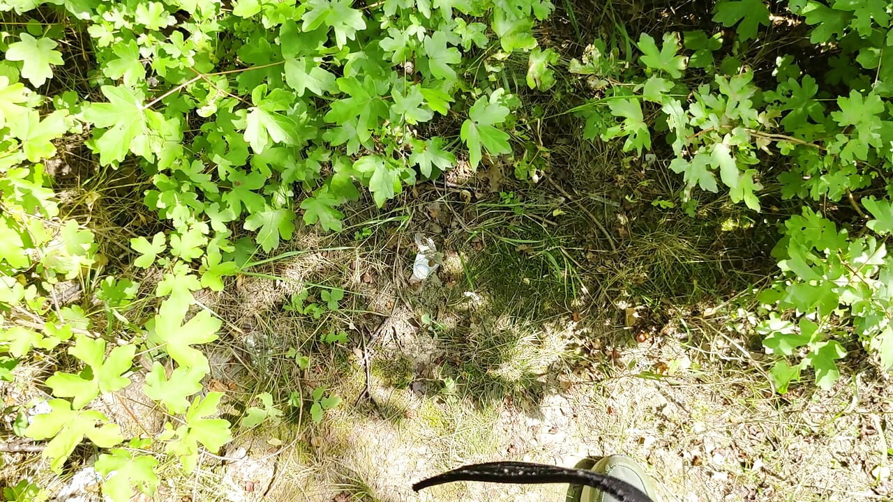 Outdoor Piss