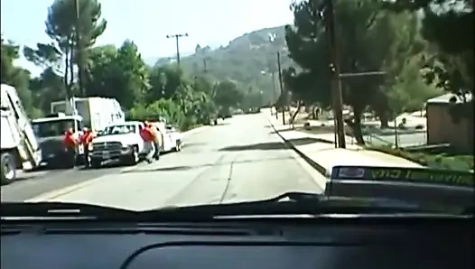 Behaarte reifes paar fickt muschi