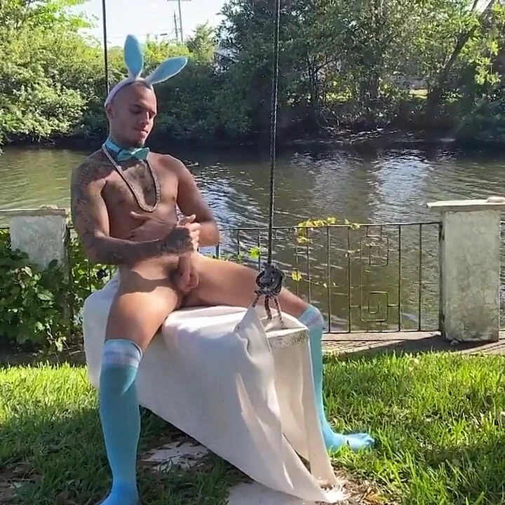 Leo Rex