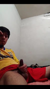 Pregled videozapisa