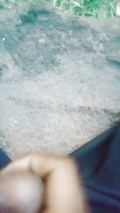 숲의 남자