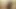 Busty ladyboy with a small shaved cock gets a facial from a