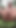 Thrilling moment from "Masturbating outside, naked and loving it"