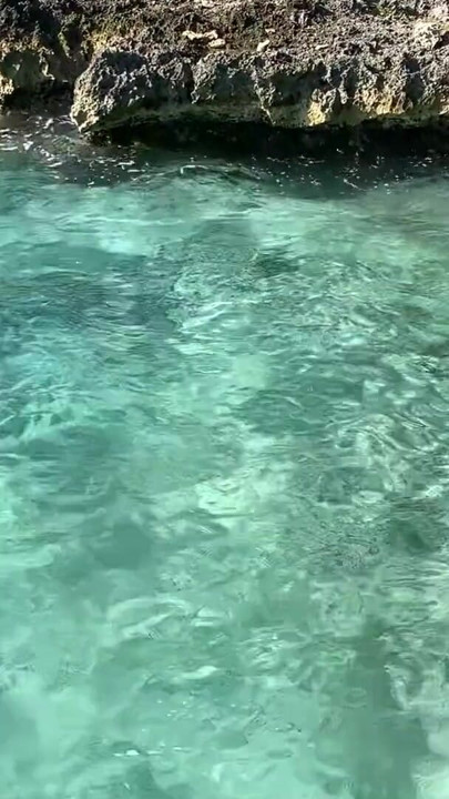 Monika Fox Stopped A Tour Bus To Swim Naked In Sea | Clip 1