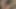 Koçum Steven Coxx tarafından sikiliyor