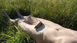 sunbathing naked on the meadow