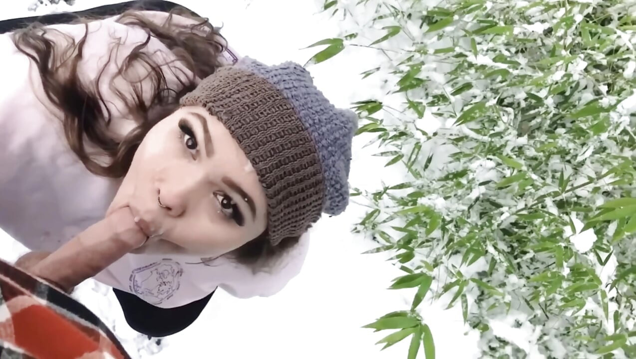 Blow in the Snow