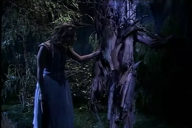 Various Artist - Whore Of The Rings 2