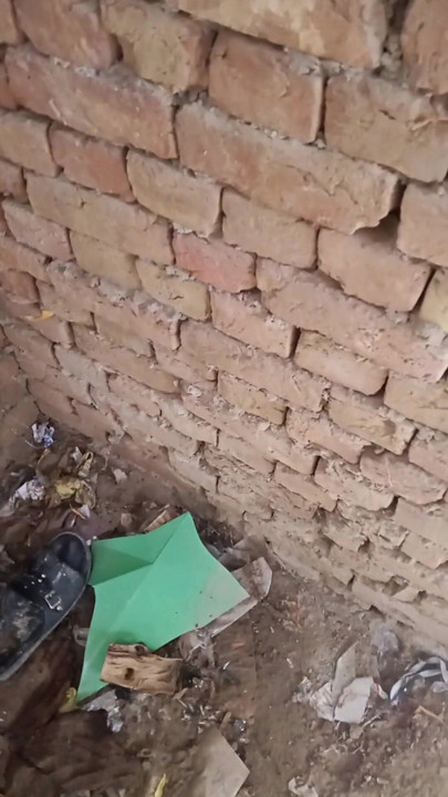 Pakistani viral video Pakistani TikTok star viral video Pakistani | Clip 2