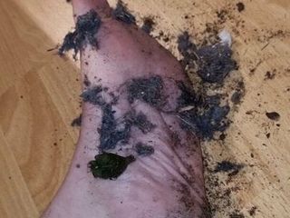 Пылесос подчищает мои грязные ножки