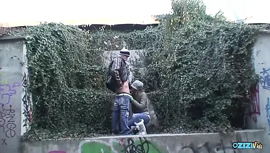 En seediest getto, açık havada üremenin göreceli barış içinde yapilabildiği yerdir