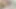 Stepmom stripped naked and masturbates her holes with a toy in front of the camera