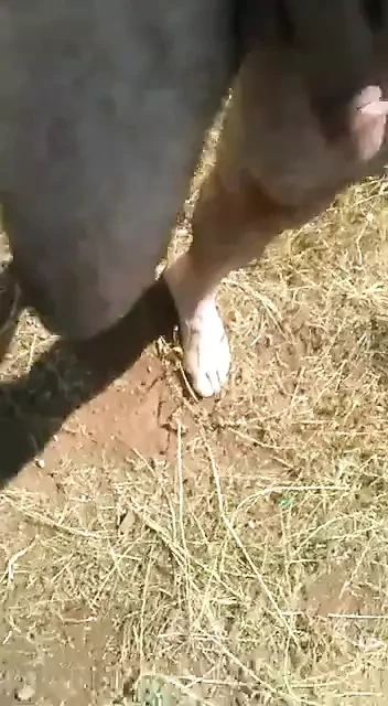 I stand in the field, get naked and get caught