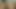 delikli orospu anal oynuyor exadult com