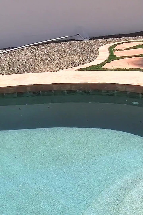 Patrick pool briefs