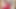 Busty amigo kız büyük testileriyle oynuyor - sarmaşık flores - eklendi: 15 saniye önce