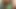 I'm taking a very thick bottle in my ass while masturbating!