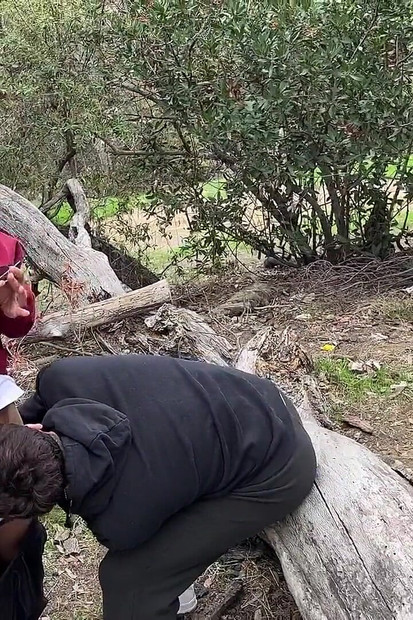 Hung Papi Outdoor Fucking Uncut Twink Fucks Daddy Bareback Caught