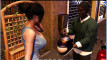 Pregled videozapisa