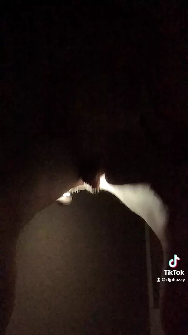 TikTok flash warning