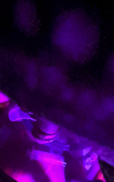 Smoke in Purple
