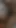 Tamil boy fucking with next door aunty kissing licking pussy and fucking pussy with creampie | Clip 2