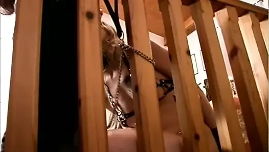 Sexy anal hause party