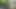 Mature bbw gives deepthroat squirting blowjob in the woods