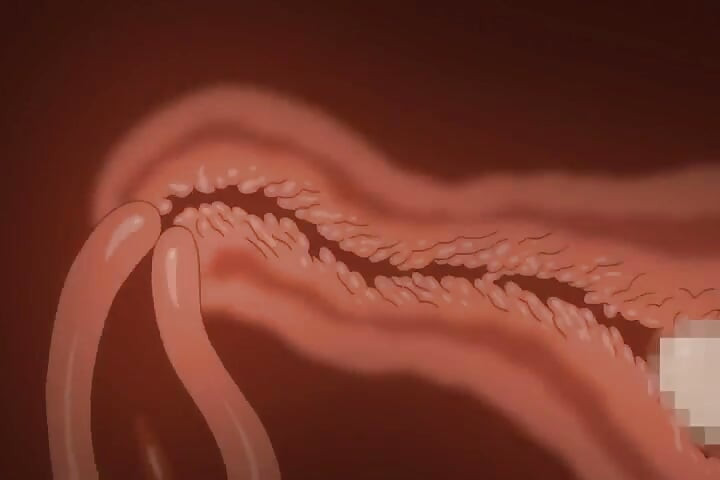 A tanár megbassza a 18 éves egyetemista lányt, Hajimete no Hitozuma Epizód 4