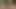 The girl got naked in the forest and showed all her charms. Naked Walk in the Woods