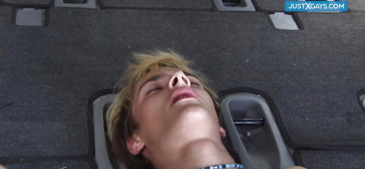 Hot gay sex in the car