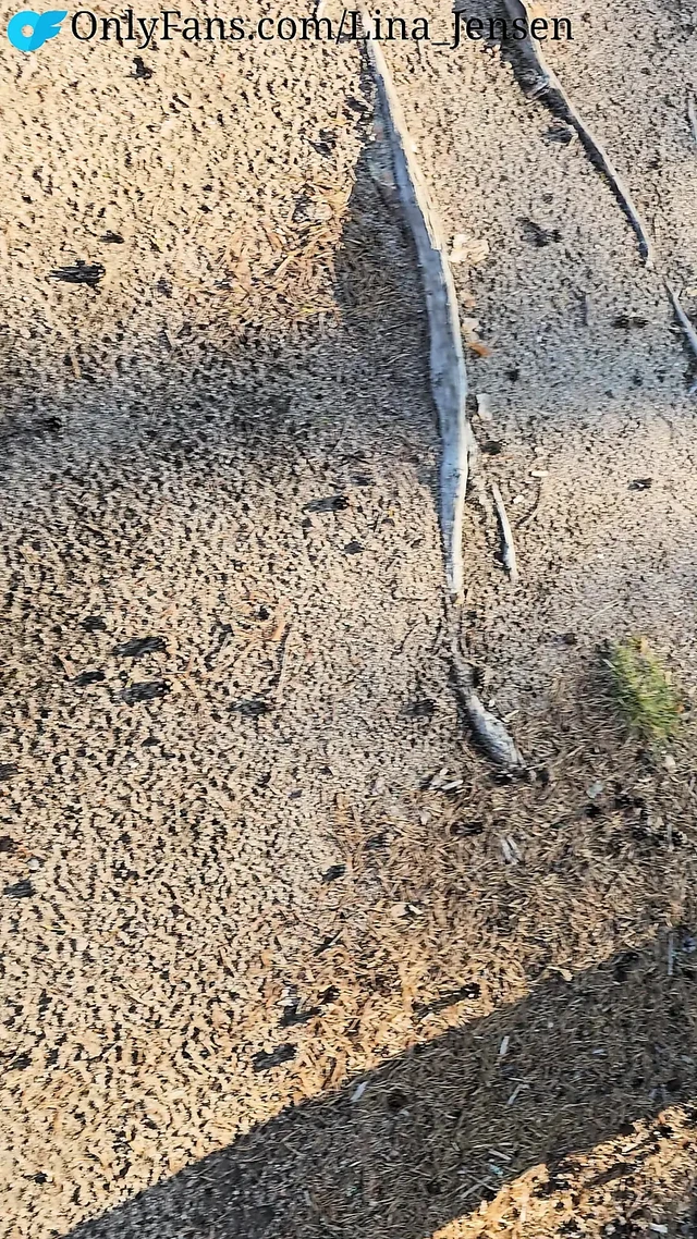 Camper neighbor had to piss, so he got assisted!