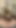 Thrilling moment from "Chubby CyberBunny Spreads Her Thick Thighs and Rubs Her Fat Pussy to Pulsating Orgasm in PVC and"