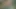 First time bareback Fuck