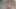 Beautiful Latine Trans Goddess cums riding ActorFab's big cock
