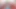 Nikki sexx bir cırcırlı genç erkek avcısı - sapık orta yaşlı seksi kadınlar