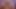 18VR Xmas Foursome Gift For You With Olivia Sparkle, Isabella De Laa and Zuzu Sweet VR Porn
