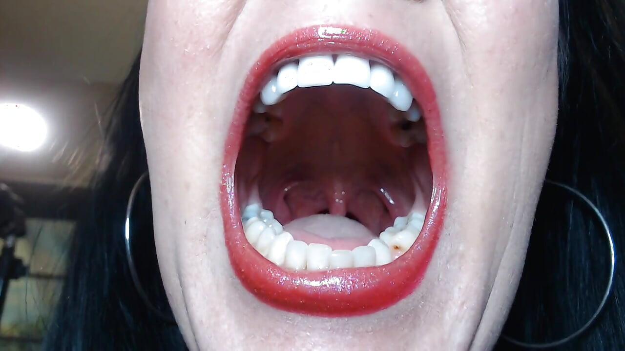 Tour The Terrors in my Mouth