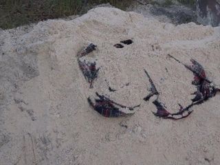 Saia de tartã vermelha bagunçada com areia e cascalho