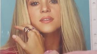 Shakira-Tribut 2